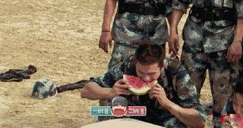 娱乐吃瓜地,吃瓜群众背后的故事 第2张 娱乐吃瓜地,吃瓜群众背后的故事 第2张